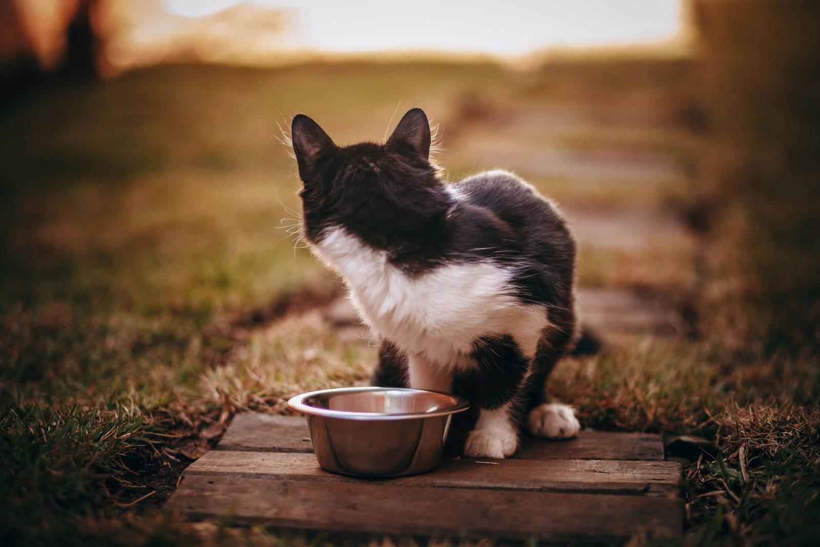 Image Slider