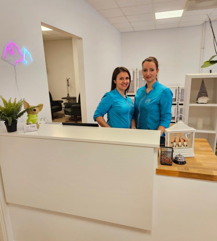 Teamet bakom Pet Salon – Om oss